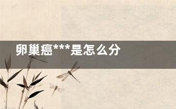 卵巢癌***是怎么分的？ 卵巢癌***是怎么分的？